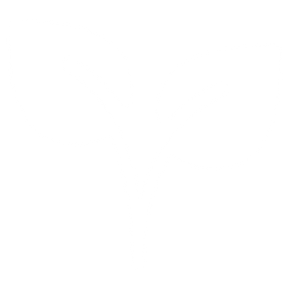 PROTECCIÓN DE ENVÍO