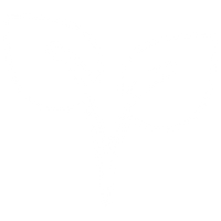 PROTECCIÓN DE ENVÍO